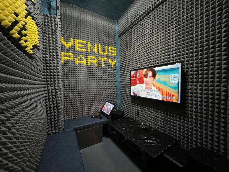 Venus Party House-15