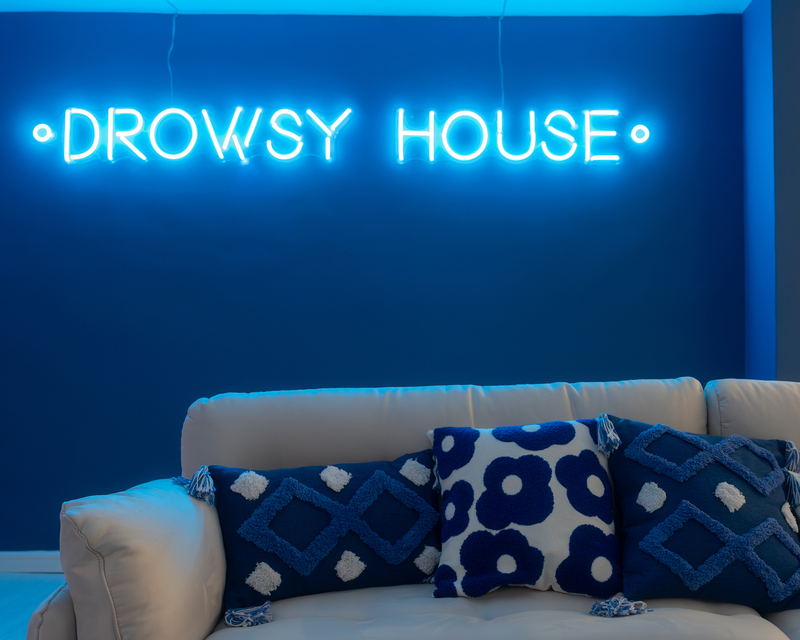 Drowsy House Partyroom-1