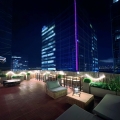 Green Garden-32