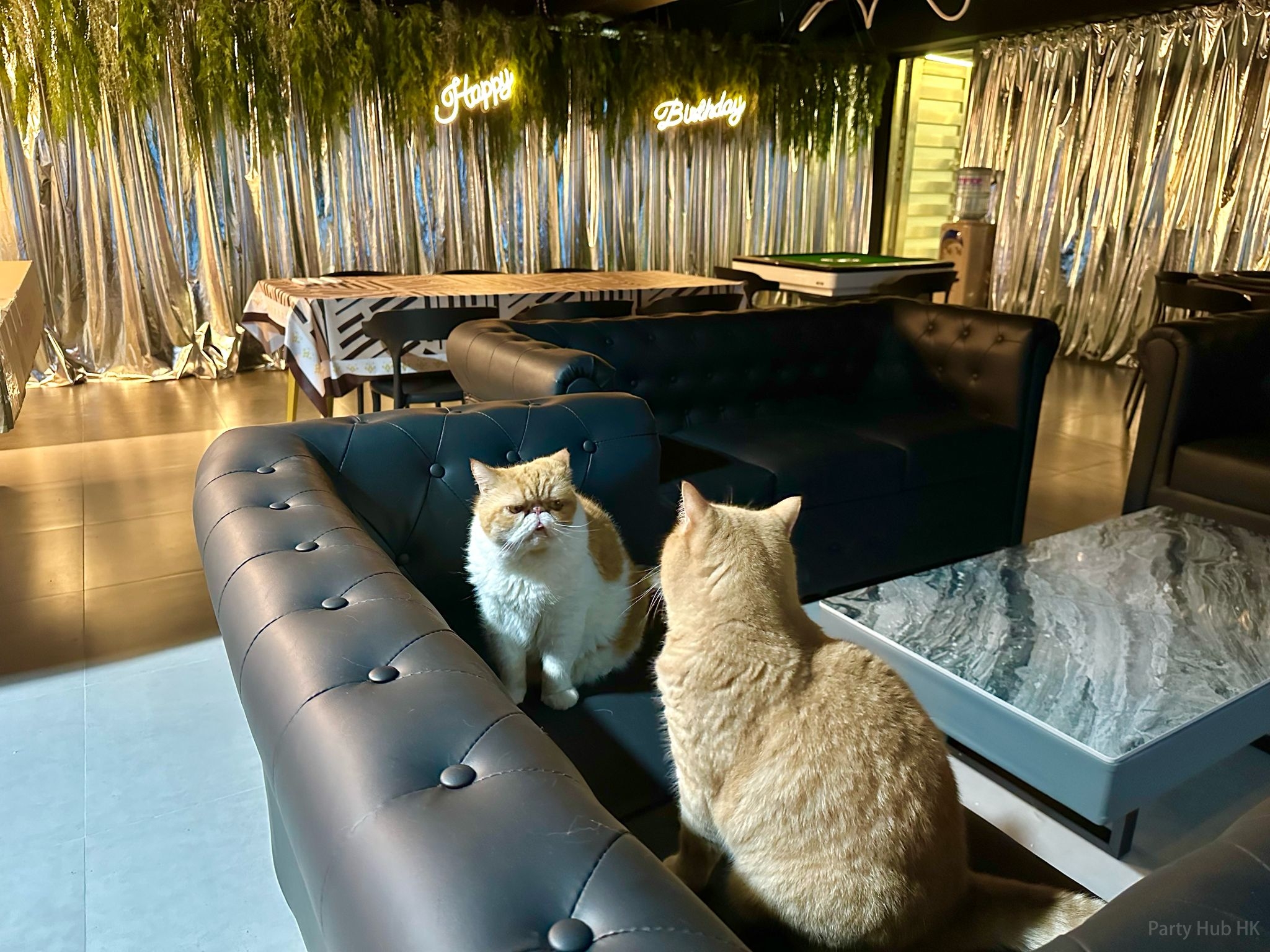 Partyroom SilverSoul BBQ-2