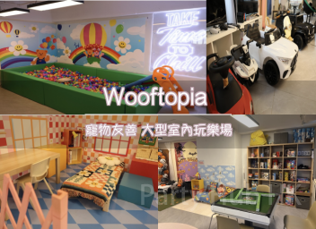 Wooftopia Party Room