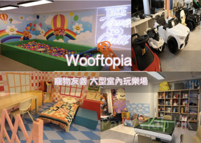 Wooftopia Party Room